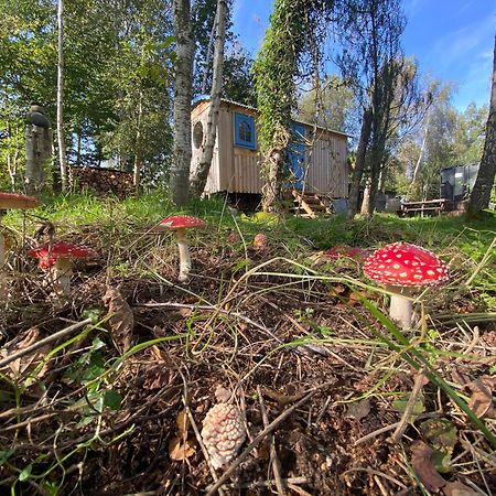 Sapphire Forest Garden Shepherd'S Hut 彻奇斯特雷顿 外观 照片
