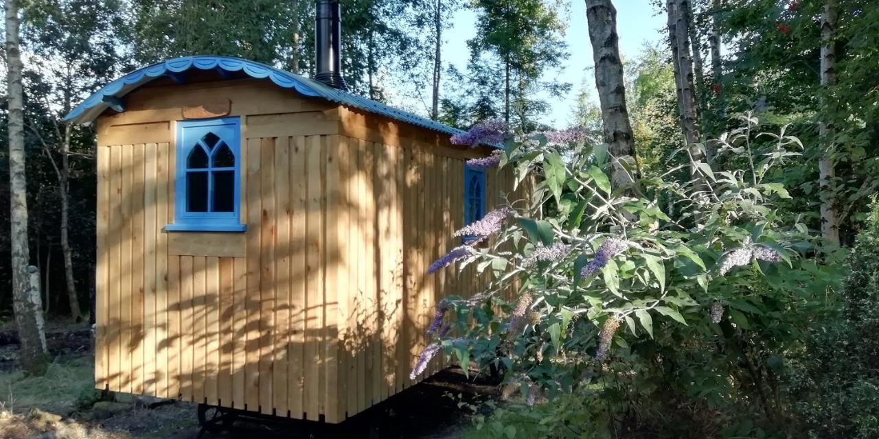 Sapphire Forest Garden Shepherd'S Hut 彻奇斯特雷顿 外观 照片