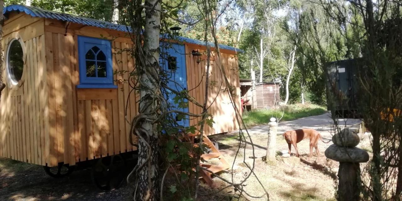 Sapphire Forest Garden Shepherd'S Hut 彻奇斯特雷顿 外观 照片