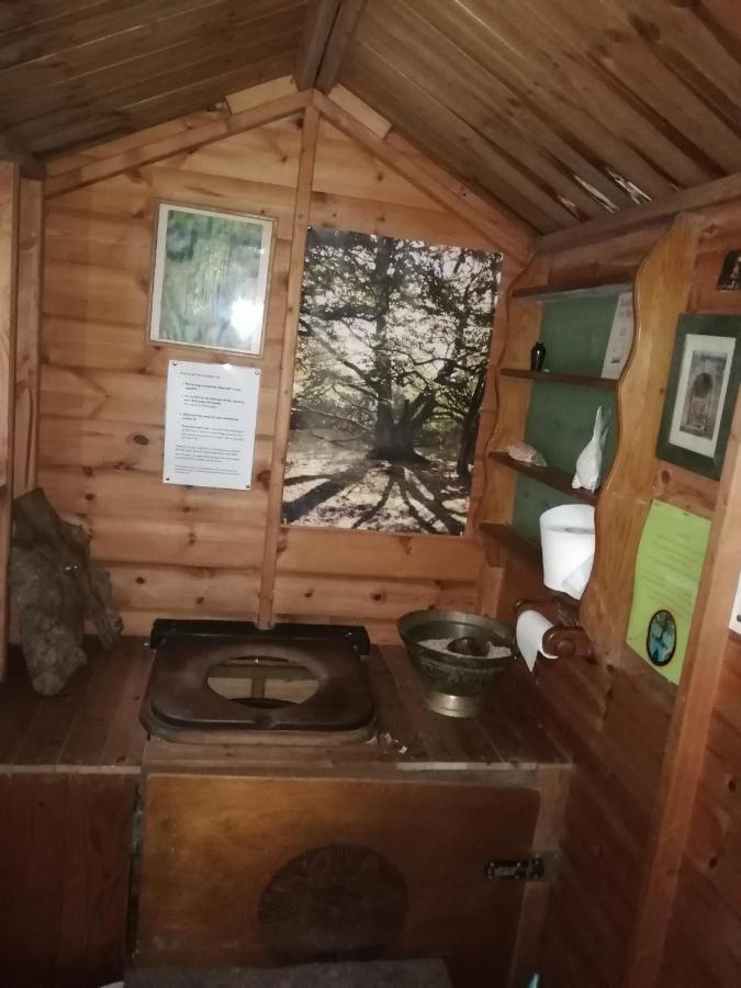 Sapphire Forest Garden Shepherd'S Hut 彻奇斯特雷顿 外观 照片