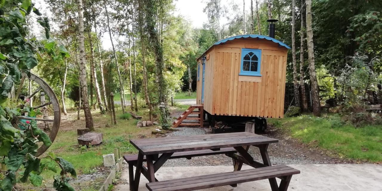Sapphire Forest Garden Shepherd'S Hut 彻奇斯特雷顿 外观 照片