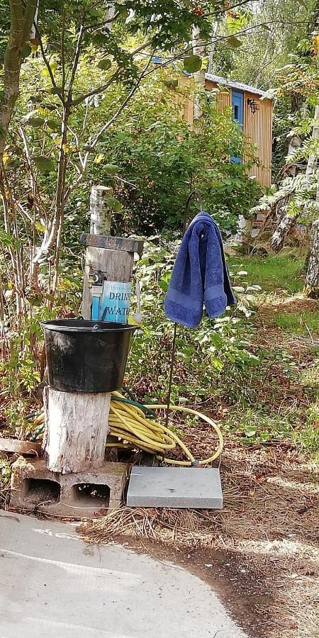 Sapphire Forest Garden Shepherd'S Hut 彻奇斯特雷顿 外观 照片